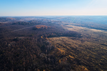 Fototapeta premium Autumn forest with a road. High-altitude shooting from a drone.
