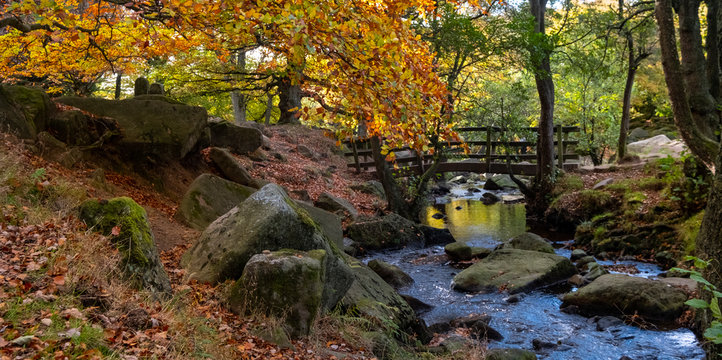 Bridge in Padley Gorge woodland in autumn, beautiful colours of the Peak District
