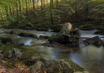 small river in an austrian forest