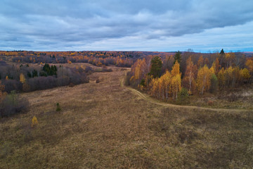 Obraz premium Autumn forest with a road. High-altitude shooting from a drone.