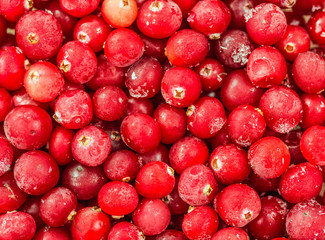cranberry