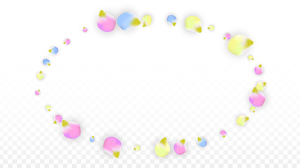 Vector Realistic Colorful Petals Falling on Transparent Background.  Spring Romantic Flowers Illustration. Flying Petals. Sakura Spa Design. Blossom Confetti. Design Elements for Wedding Decoration.