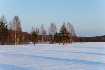 Зима/winter