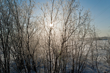 Fototapeta na wymiar Зима/Winter