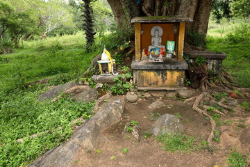 Buddhistischer Altar in Sri Lanka