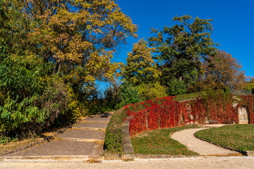 Herbstfarben im Palaisgarten in Dresden