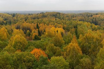 Fototapeta premium Baltic autumnal landscapes