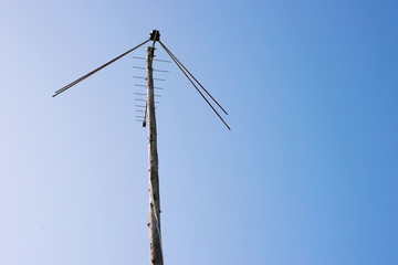 TV antenna attached to a wooden pole