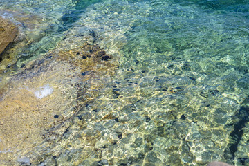 View from top to crystal water with black sea urchins