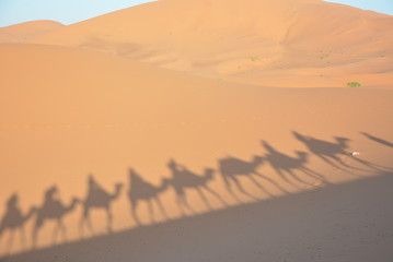 Deserto