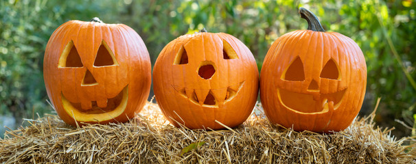 3 Carved Pumpkins