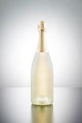 Bottle of champagne on a reflective surface with white gradient background.