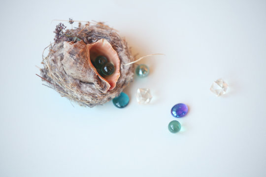 a seashell with glass balls inside/fertility/womenth health,motherhood,profusion concept,solution cymbol
