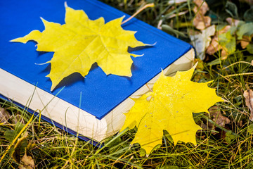 Yellow maple leaf on a book. A book on the grass in the autumn forest_