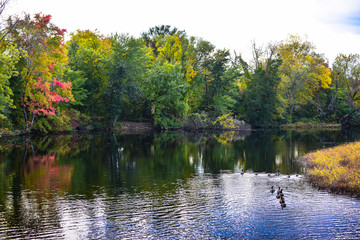 Fall in New England