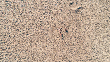 People on sand