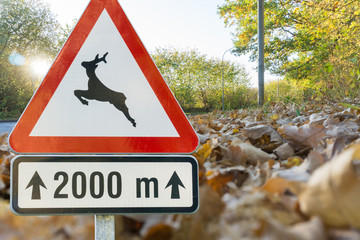 Verkehrsschild Wildwechsel mit einer Straße im Hintergrund