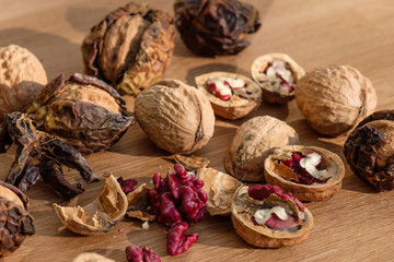 Rote Walnüsse (geknackt, offen, mit Schale)