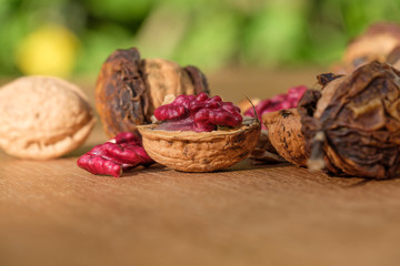 Rote Walnuss, geknackt (Juglans regia)