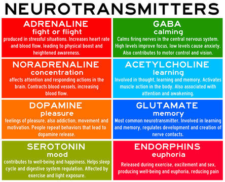 list of neurotransmitters
