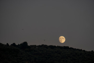Vollmond-Aufgang über dem Horizont