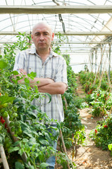 Serious man gardener standing near tomatoes seedlings