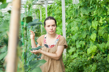 Serious woman gardener attentively looking pea and soy seedlings