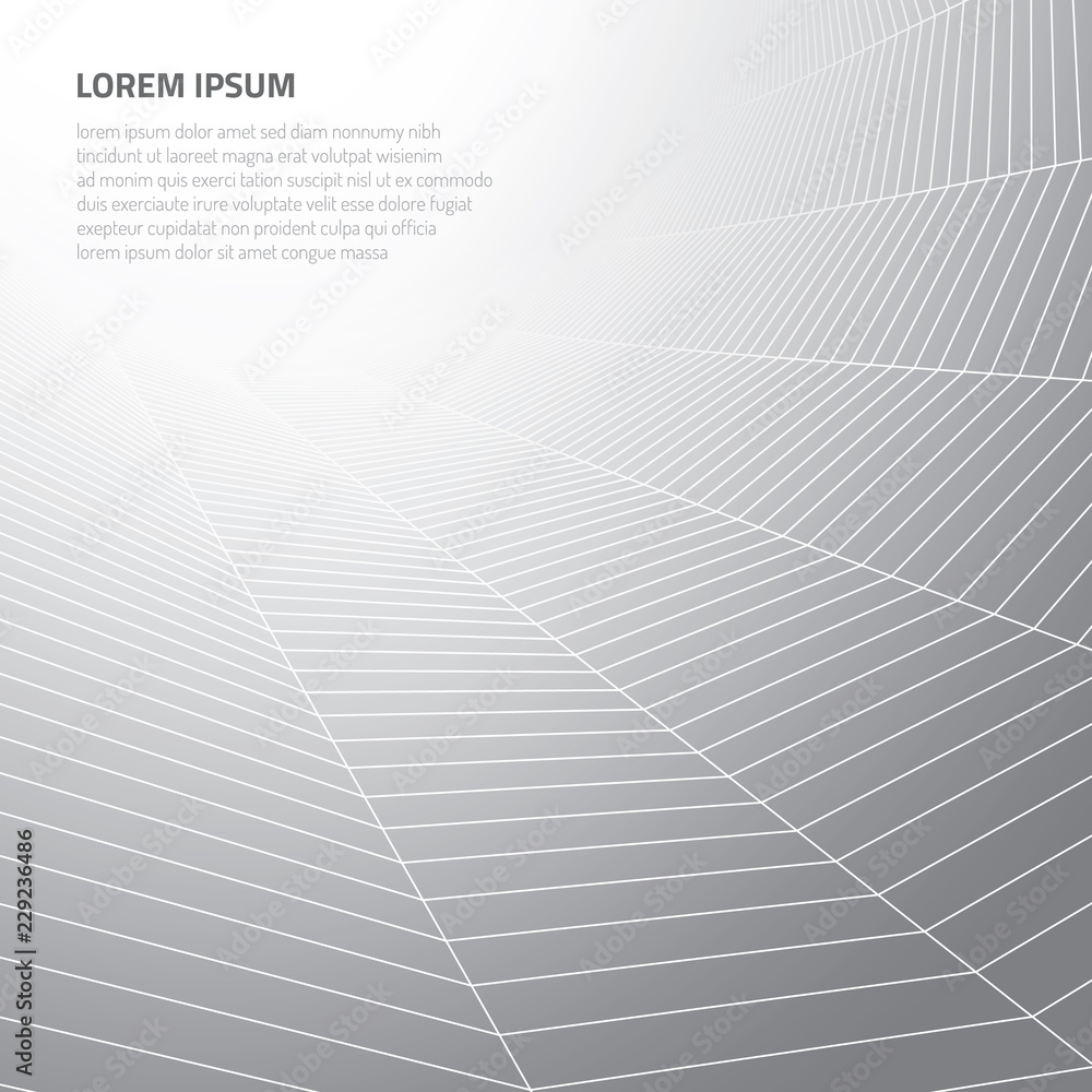 Poster abstract background with geometric cobwebs. objects connected by the world wide web.
