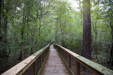 Congaree National Park, South Carolina, United States