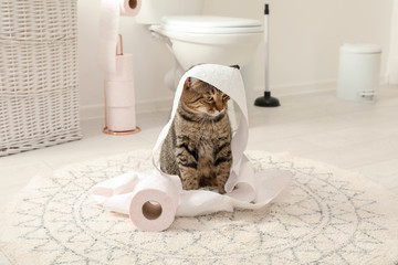 Cute cat playing with roll of toilet paper in bathroom