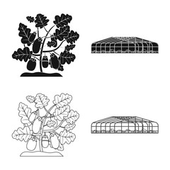 Vector design of greenhouse and plant logo. Collection of greenhouse and garden stock vector illustration.