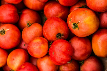 Pomidory Tomatoes Culinary Food Vegetables - obrazy, fototapety, plakaty