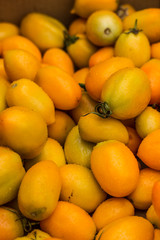 Pomidory Tomatoes Culinary Food Vegetables