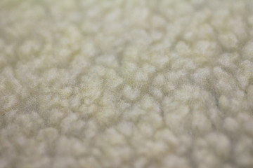 Texture of sheepskin wool