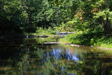 Fototapeta na wymiar Slow moving waters of Sandy Stream in Unity Maine in the summer.