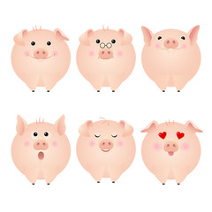 Funny pig stickers