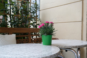 Table of a street cafe in a European city. Toned photo