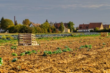 Knoblauchsland in Nürnberg