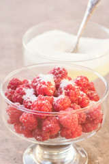 Glass of fresh raspberries sprinkled with white sugar gardening gastronomy harvest