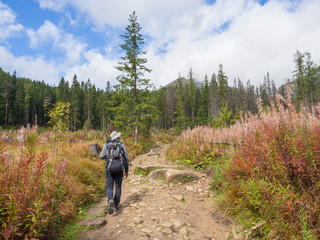 Obraz premium Young men tourist hiking at the beautiful nature trail at high tatra mountains in slovakia, late summer sunny day