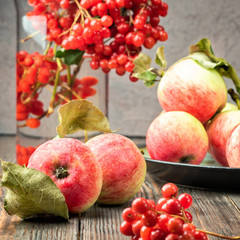 Still life berries of a viburnum and garden seasonal apples in plates