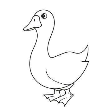 Black and White Cartoon Vector Illustration of Funny Goose Farm Bird Animal for Coloring Book