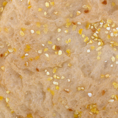 Close view of a freshly baked English muffin with yellow cornmeal.