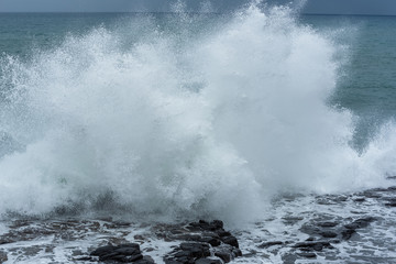 Fototapeta na wymiar Big wave splashing on a rock 