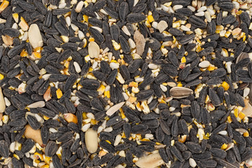 Top view of bulk wild bird food with assorted seeds and peanuts.
