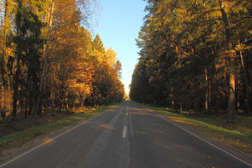 Beautiful picturesque suburban asphalt forest road in autumn sunny day - country landscape on clear blue sky background