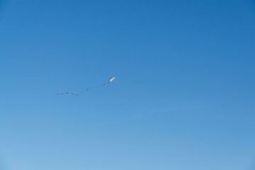 Kites flying on the sky. Slovakia