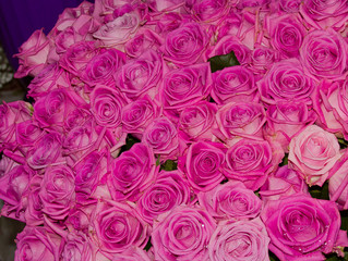 розовые розы, большой букет
