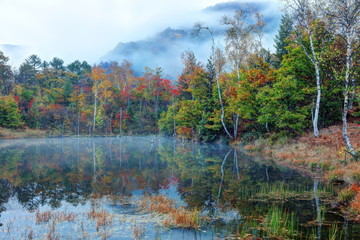 秋色に染まるまいめの池