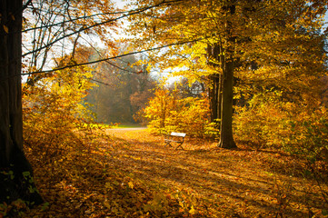 Goldener Herbst